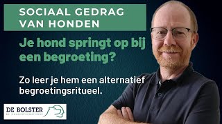 Je hond laten stoppen met opspringen [upl. by Xuaeb]