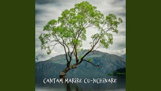 Cantam Marire CuNchinare [upl. by Wendt]