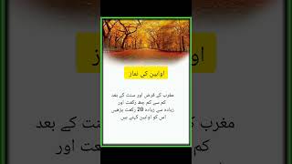 Awwabin ki namazCommon Islamic KnowledgeShort ytshorts viralvideo islamicvideo [upl. by Handler]