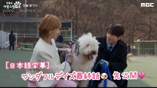 ［日本語字幕］ワンダフルデイズ最終話🐶先公開💗 [upl. by Latsyrd]