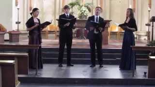 Ave maris stella I Les Canards Chantants Live [upl. by Llerred483]