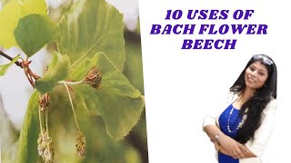 Beech bach flower remedy  architectjudgereduce side effects of allopathy [upl. by Acinomaj961]