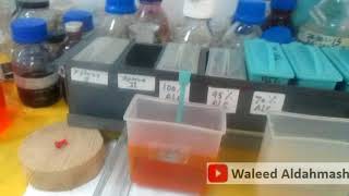 خطوات صبغ القطاعات النسيجية بصبغة الهيماتوكسلين  ايوسين Hematoxylin amp Eosin HampE Staining [upl. by Darcy742]