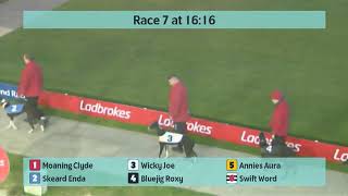 Crayford Greyhounds Races on 14th November 2024 [upl. by Kristyn]