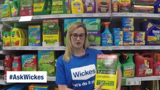 How To Remove Moss From Your Lawn with AskWickes [upl. by Kamilah]