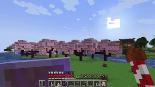 Minecraft ♥ viele Kirschbäume 33 Community Server 2023 [upl. by Arabele82]