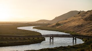 Calis Crib Don Edwards SF Bay National Wildlife Refuge [upl. by Hoffman]