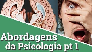 Abordagens da Psicologia parte 1 [upl. by Eynahpets]