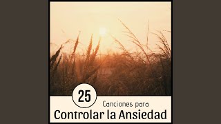 25 Canciones para Controlar la Ansiedad [upl. by Farrish966]