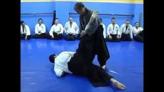 Aikido Kicks [upl. by Ayvid]