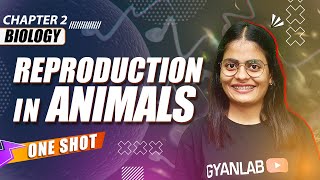 One Shot Lecture  Chp  2  Reproduction in Animal  Gyanlab  Anjali Patel oneshotlecture [upl. by Rhu]