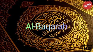 10 Hour Black Screen Surah Al Baqarah Recitation 7 times  By Sheikh Abdul Wadood Sihr Evil Cure [upl. by Anadal]