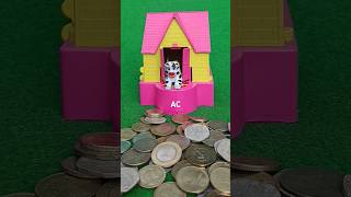 Amazing Piggy Bank collect coin review amp dog house coin collect AC590 money dog shorts [upl. by Carley]