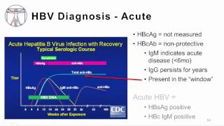 Viral Hepatitis B and D [upl. by Inalaehak53]