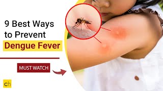 9 Best Ways to Prevent Dengue Fever  Credihealth [upl. by Chaker]