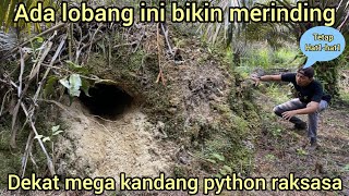 BERBAHAY4 SEMAK BELUKAR PERSEMBUYIAN ULAR PYTHON RAKSASA DI KEBUN SAWIT DEKAT MEGA KANDANG PYTHON [upl. by Francoise]