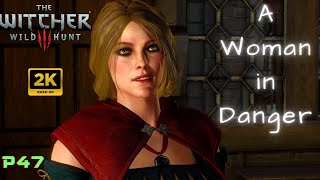 THE WITCHER 3 Wild Hunt  Novigrad Closed City Part 47 Side Quest 2K 60FPS PC [upl. by Hamfurd]