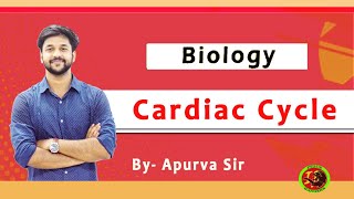 Cardiac Cycle I Biology I For  CLASS 12 BIOLOGY  MNS  NEET 2021 [upl. by Ahseka893]