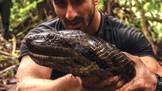 Man Gets EATEN ALIVE By Anaconda  Whats Trending Now [upl. by Oznole]