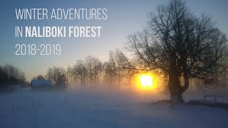 Winter adventures in Naliboki Forest [upl. by Leatri]