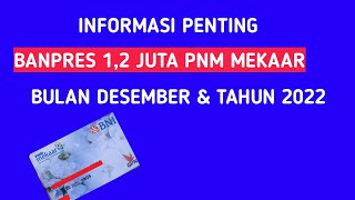 Informasi penting Banpres 12 juta nasabah PNM Mekaar bulan Desember [upl. by Mannes]