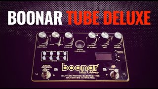 David Gilmours Binson Echorec  Dawner Prince Boonar Tube Deluxe [upl. by Bessy]