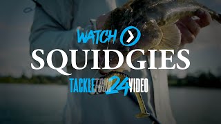 SHIMANO TACKLE TOUR 2024 Squidgies Ridge Shad [upl. by Anavas313]