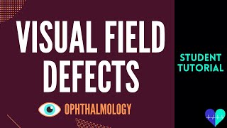 Visual Field Defects  Medical Tutorial [upl. by Havot]