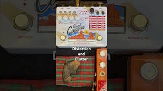 Get a Gritty Tape Delay with the EHX Grand Canyon [upl. by Vina]