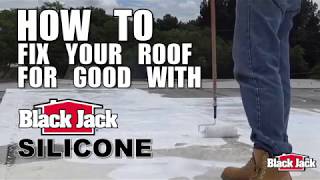 How To Apply Silicone Roof Coatings Using Black Jack® Silicone [upl. by Lerim965]