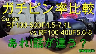 【野鳥撮影レンズテスト011】野鳥飛翔写真はRF100400F568十分OKです。 [upl. by Humo]