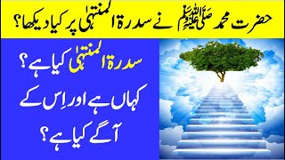 What is Sidra Tul Muntaha  سدرۃ المنتہیٰ کیا ہے؟ [upl. by Ailimat]