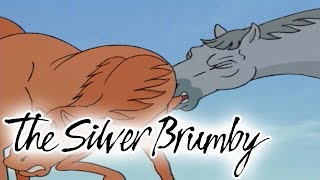 The Silver Brumby  Episode 1  Arrow Is Cornered  HD  Full Episode  Videos For Kids [upl. by Chet]