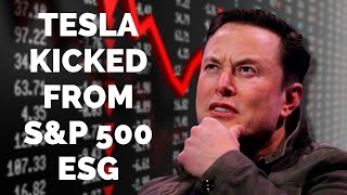 The REAL reason Tesla got kicked out of the SampP 500 ESG index [upl. by Melamie]