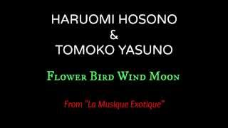 Haruomi Hosono amp Tomoko Yasuno  Flower Bird Wind Moon amp Sur la Terra [upl. by Nnaeirual]