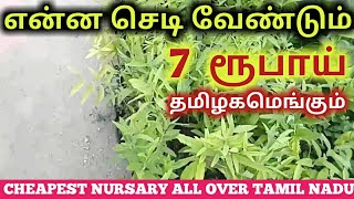 NURSARYஎந்த செடி வாங்கினாலும் 7 ரூபாய்Low CostIsha NursaryTAMILFPFARMERS POST [upl. by Leverett]