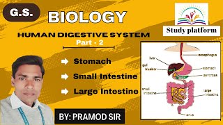 Digestive System Part 2  Biology  by Pramod sir [upl. by Anirak]