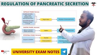 Regulation of Pancreatic secretion  Digestive System physiology [upl. by Ahsiuqat]