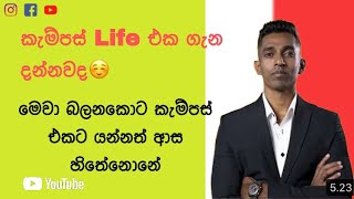 කැම්පස් Life එක ගැන දන්නවද☺️  මෙවා බලනකොට කැම්පස් එකට යන්නත් ආස හිතේනොනේCHARAKA DHNANAJAYABS1ST [upl. by Brenden]