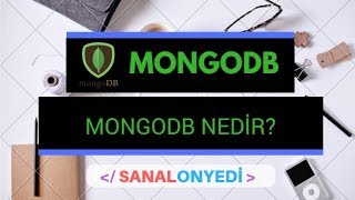 MongoDB nedir Neden Kullanılır [upl. by Leeke]