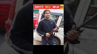 Most Danger ⚡ gangster Papla Gurjar ☠️ facts shorts trending yt papla gangster don mafia [upl. by Orimar]