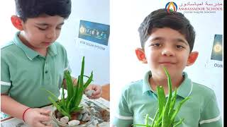 Earth Day Activities  Grade 2 [upl. by Dahsra]