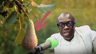 Growth hormone infused foods Major Cause of Fbroids in Women  Oheneba Ntim Barimah [upl. by Gabler]