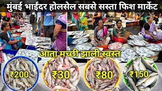 Mumbai Mira Bhayandar Fish Market  Bhayandar Wholesale Fish Market  Bhayandar Fish Market [upl. by Iduj]