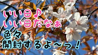 【開封動画】お友達からのプレゼントを開封したら愛が詰まってました。猫の福袋とキッチンカー紹介も！ [upl. by Niamert436]