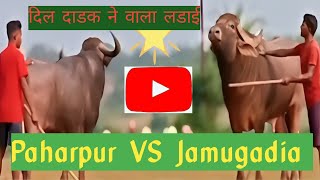 BARA PAHARPUR VS JAMUGADIA [upl. by Nancy]