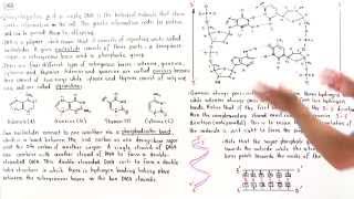 Introduction to DNA [upl. by Eddina]