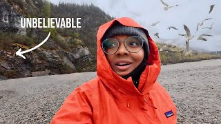 168 Hour Alaskan CruiseHiked A Bear Trail To See This 😳Part 2 [upl. by Eirtemed]