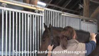 souplesse paardensport massage hals [upl. by Timoteo541]