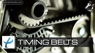 How Long Do Timing Belts Last  Timing Belt Replacement Service [upl. by Pastelki294]